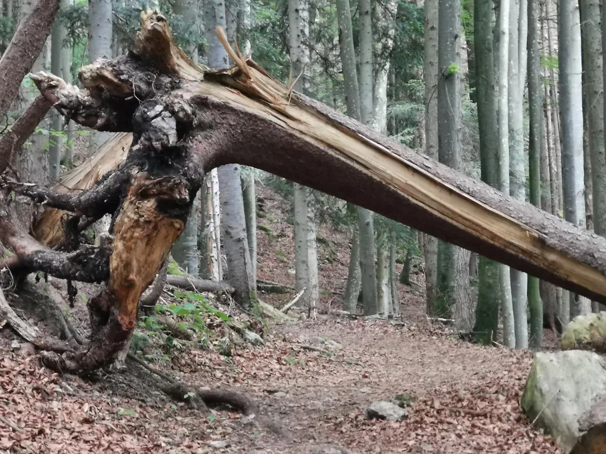 Ferienlandhaus Alpinum Lenggries
